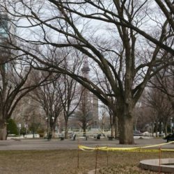 今日の大通り公園 今日の大通り公園
