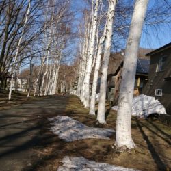 やはらかい 日差し やはらかい 日差し