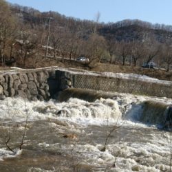 春さがし 春さがし