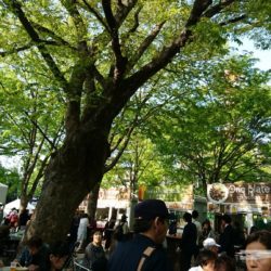 大通公園 大通公園