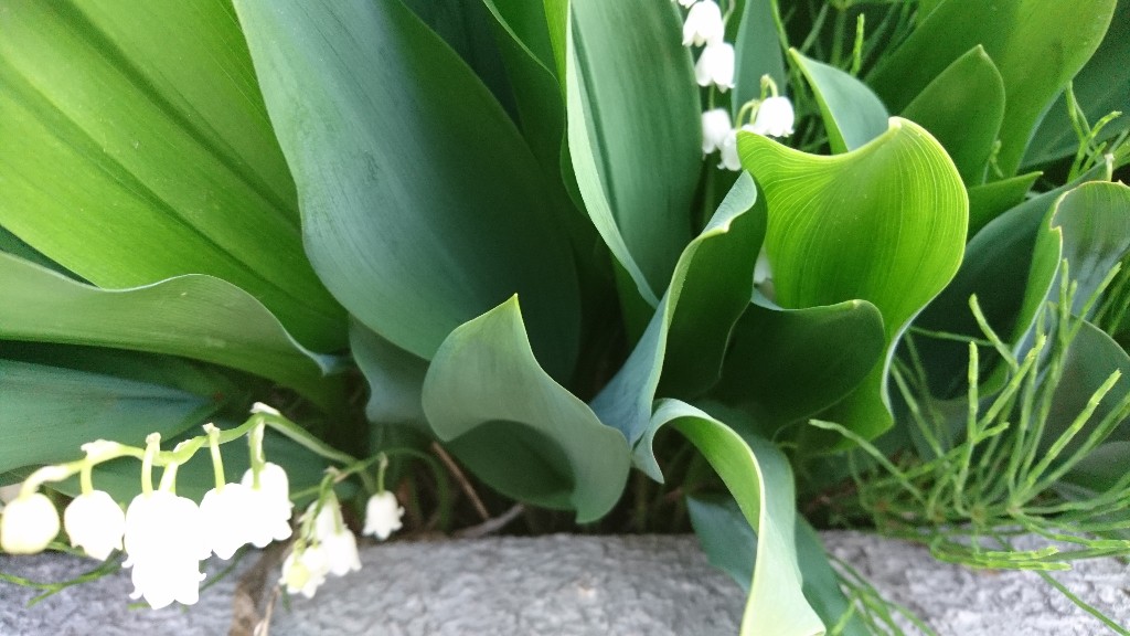 さむいよ〰️！