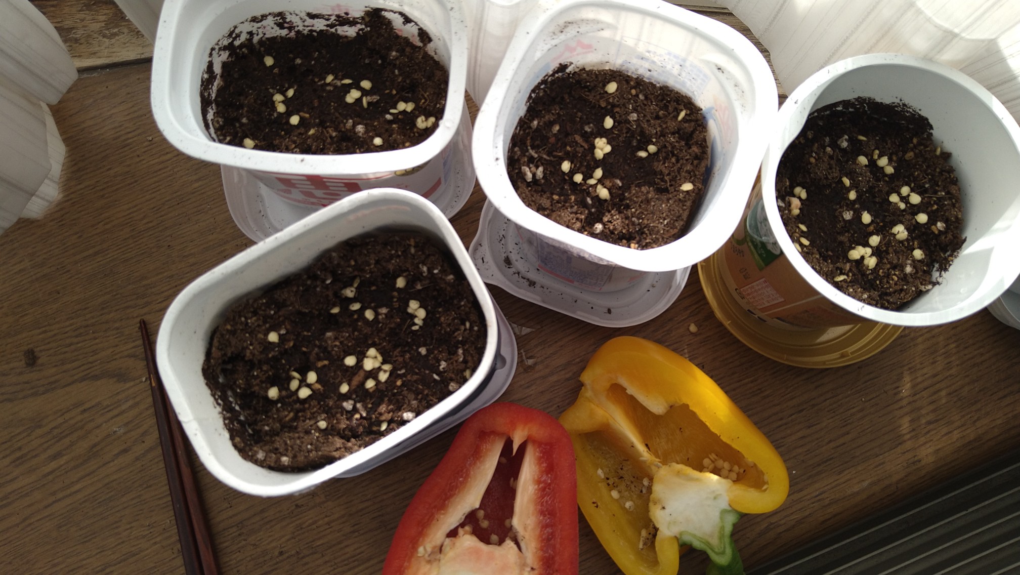 カラーピーマン