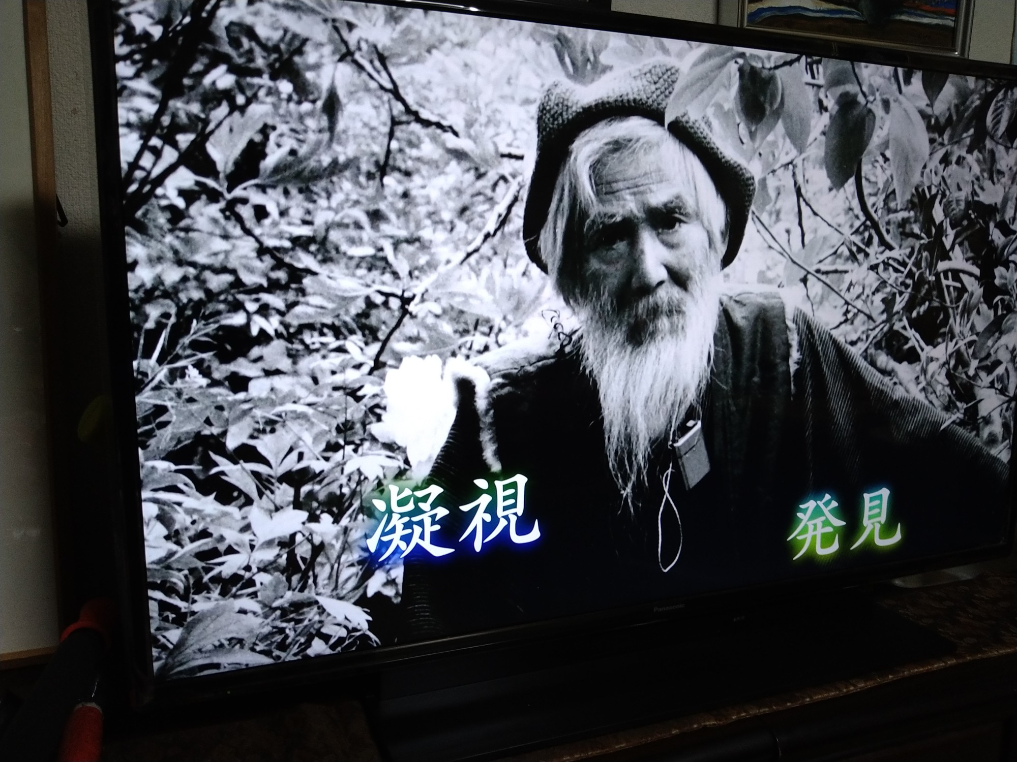 なんでも探偵団