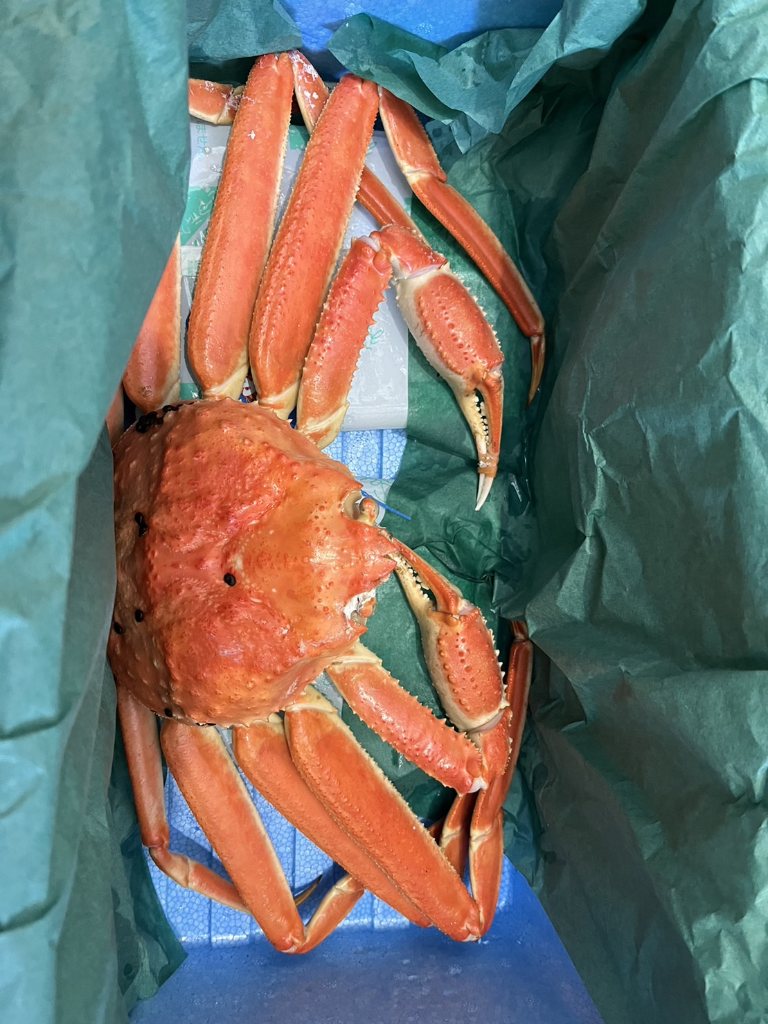 カニ事件! カニ事件!