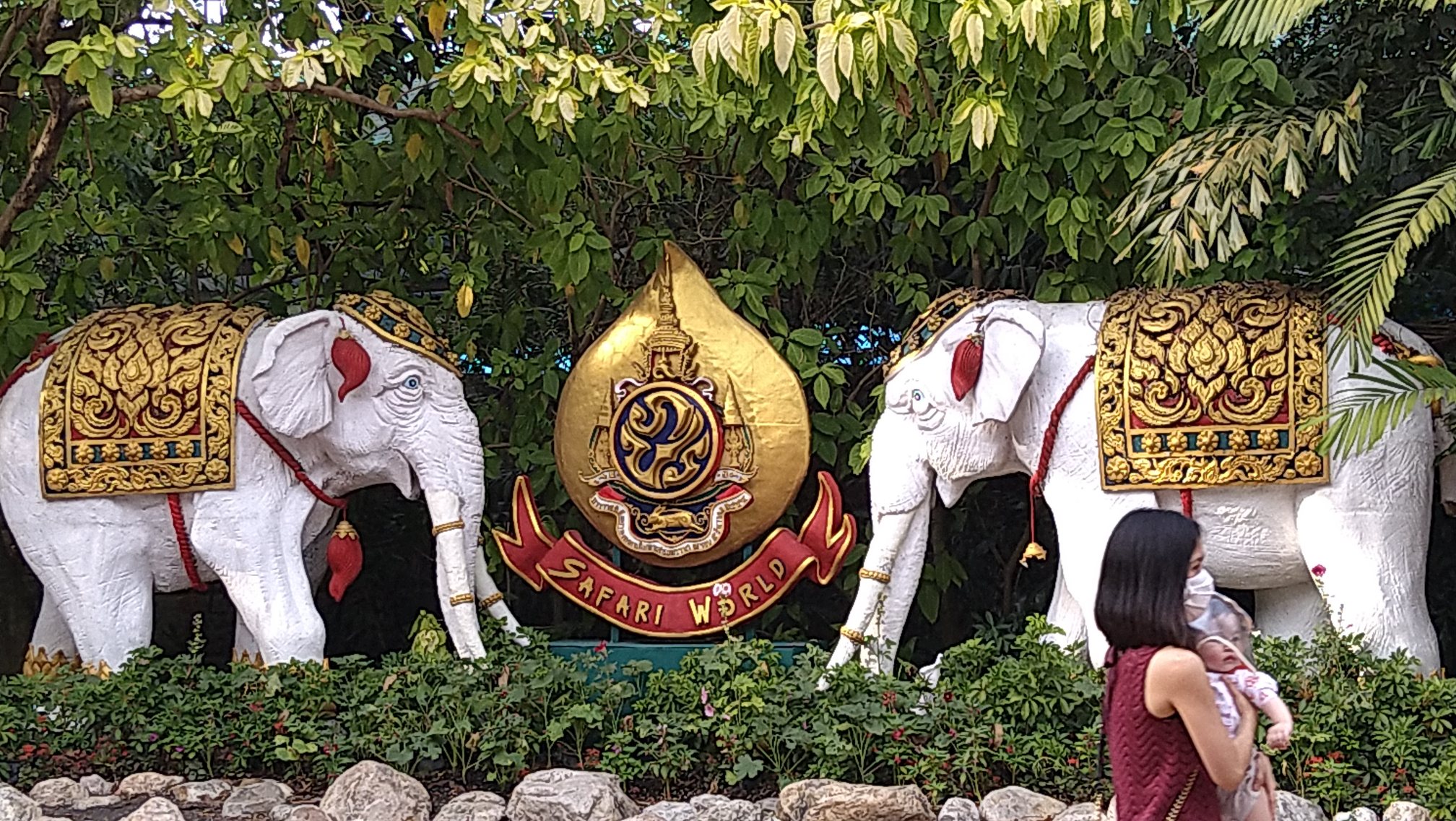 サファリパークです。