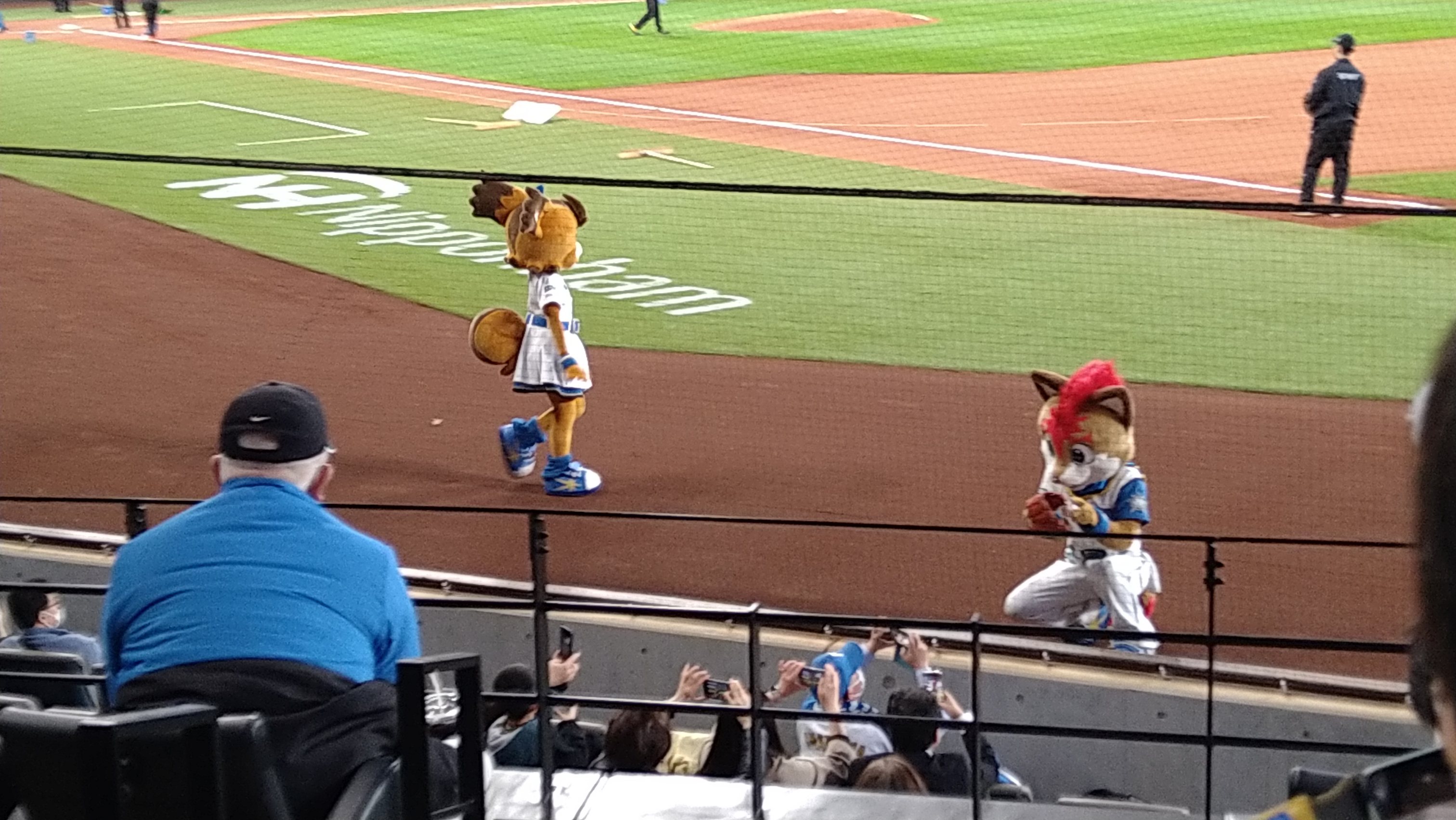 エスコンフィールド