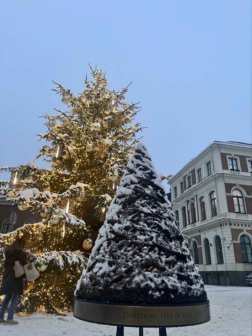暗く長い冬 暗く長い冬