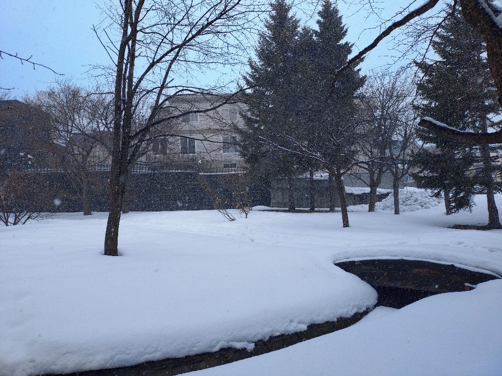 おきらくえてがみ更新！