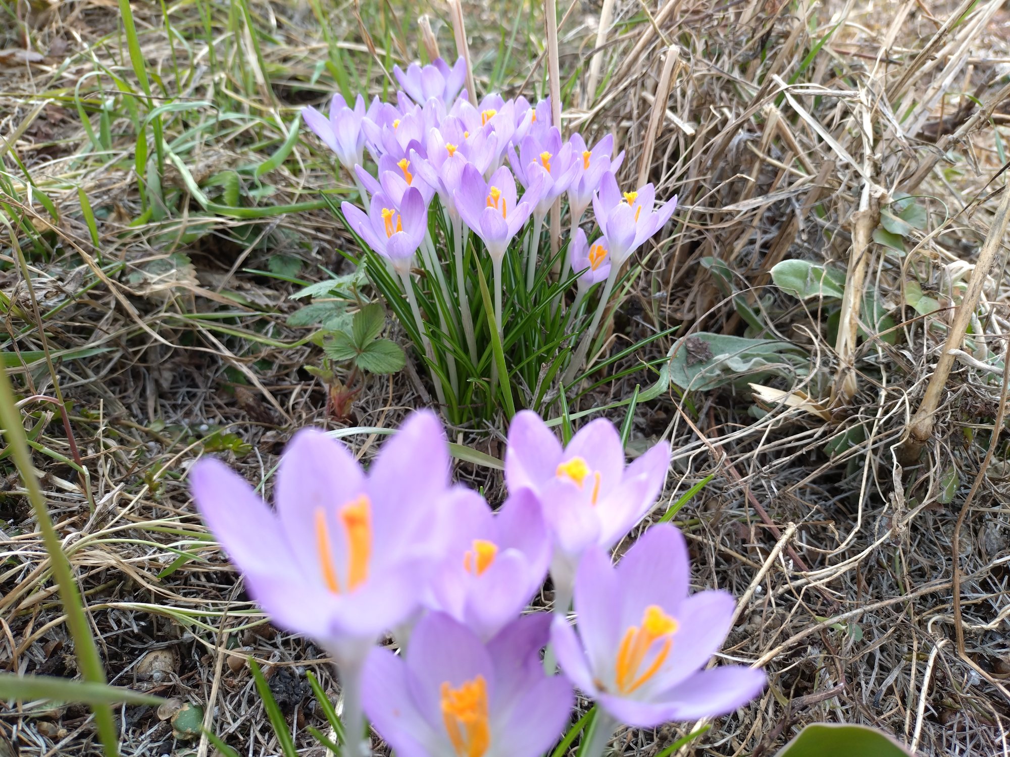 ほんとに来た春一番