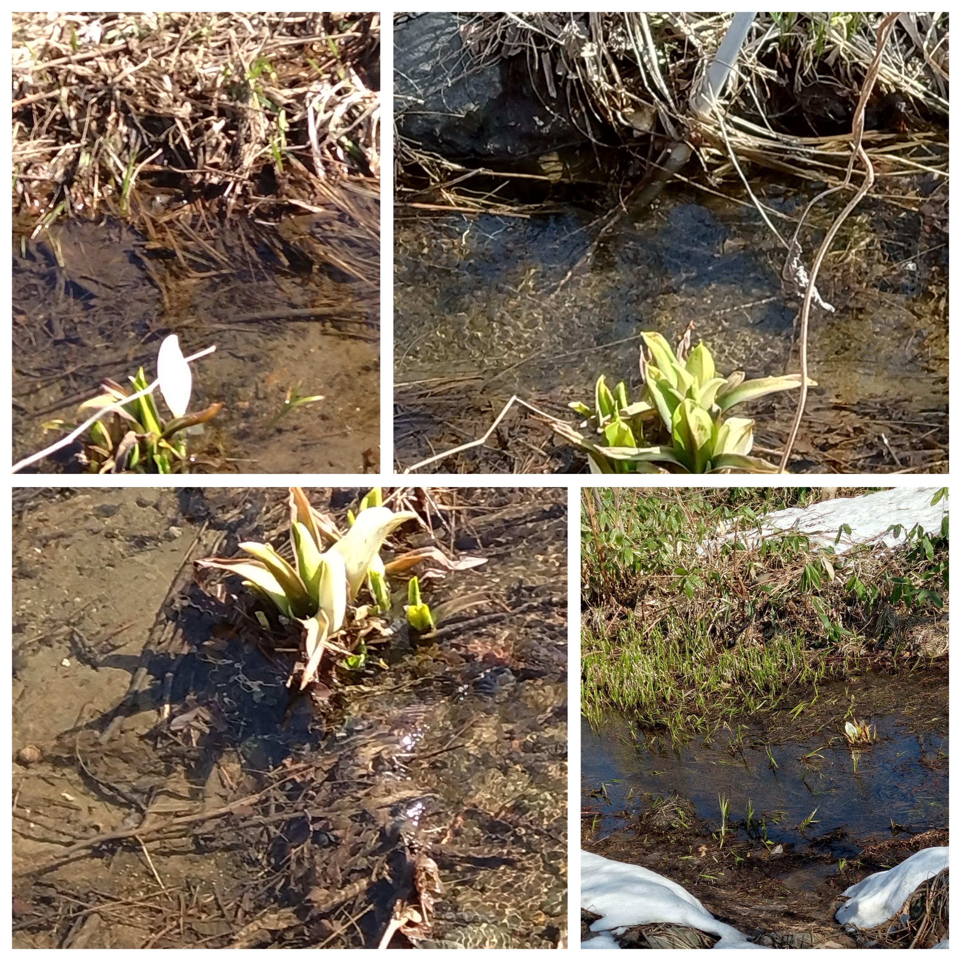 始まる春 始まる春