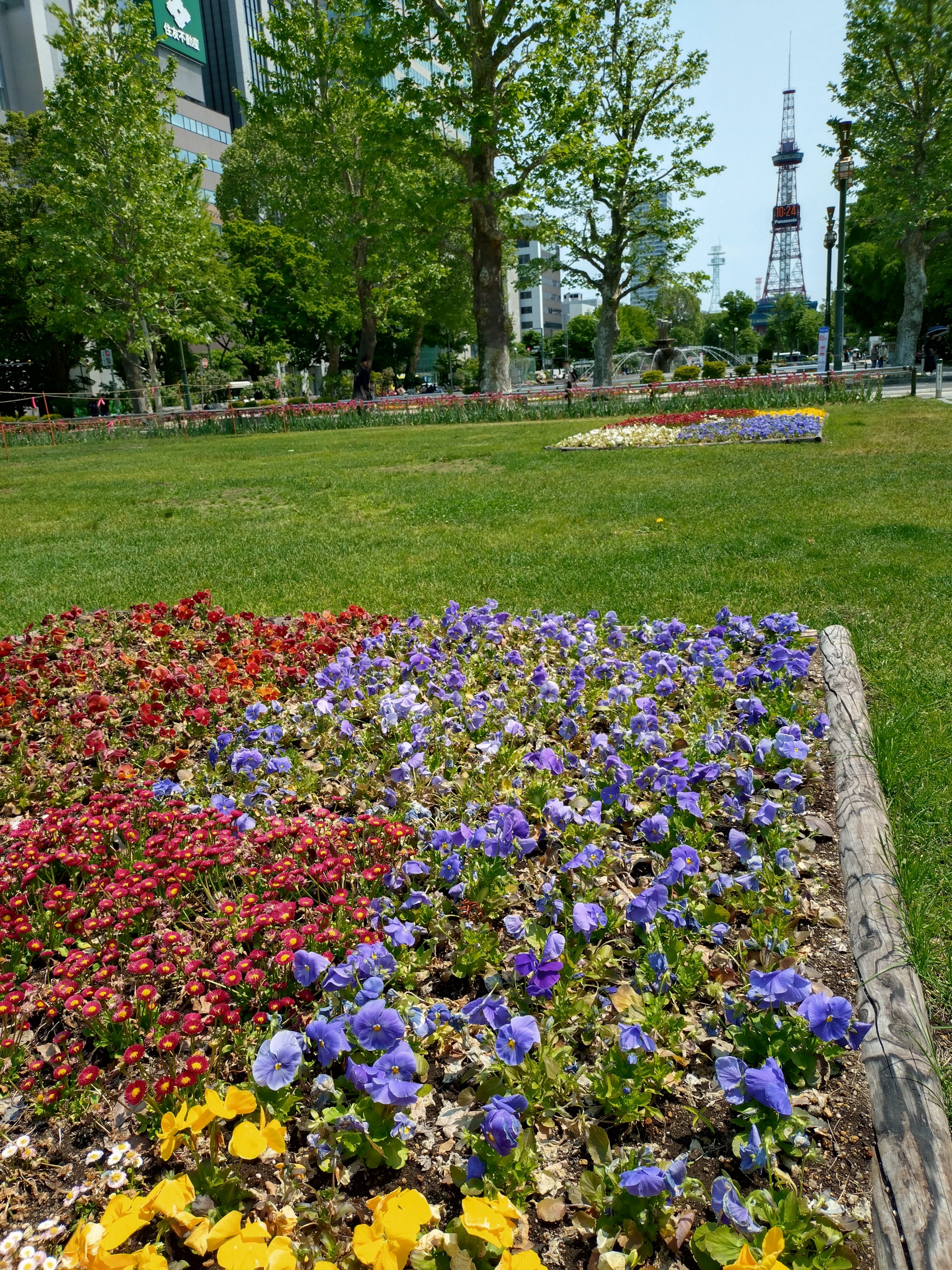 大人の絵日記展