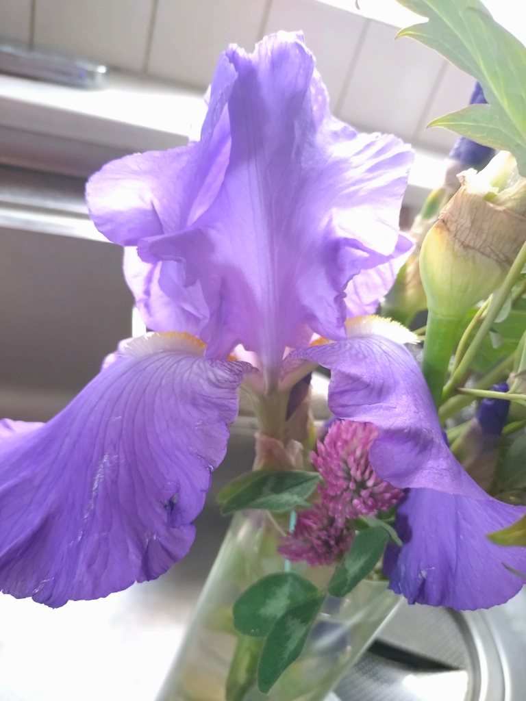 日帰り旅の　5席！