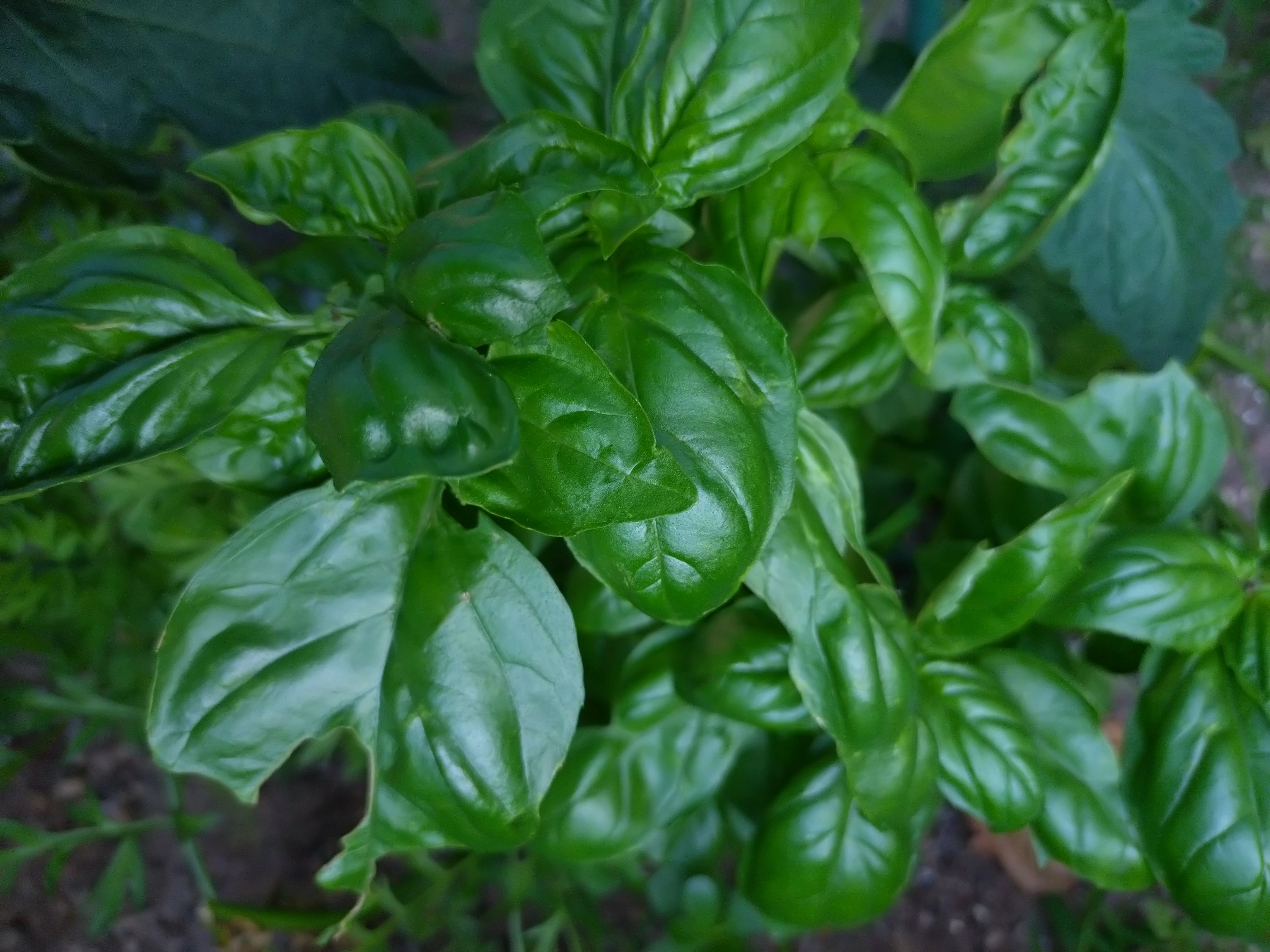 教室が終わったので