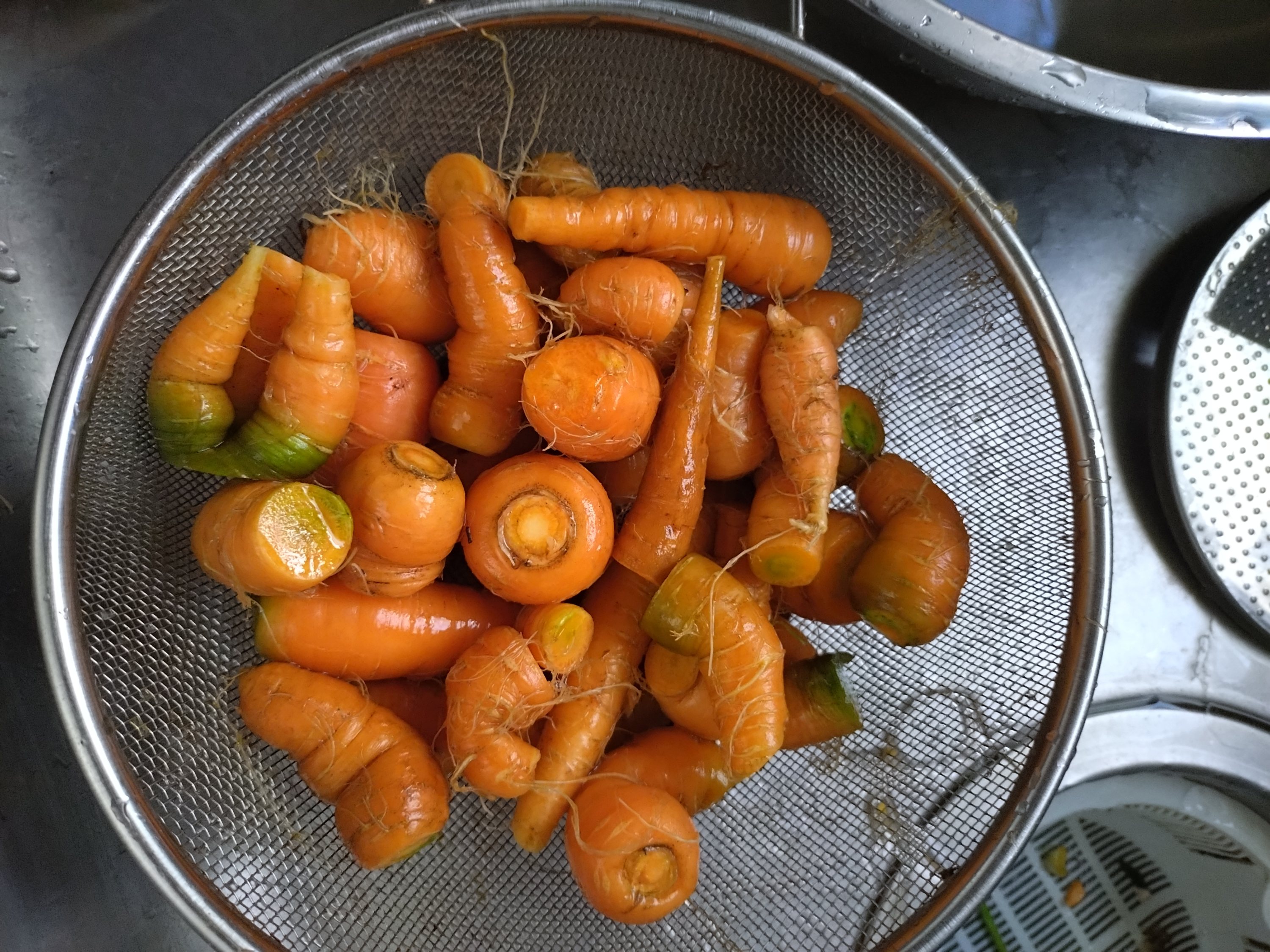間引きの間引き人参