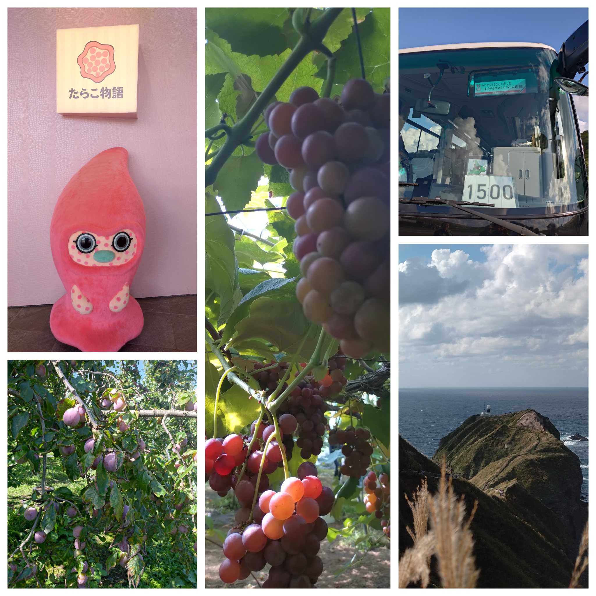 日帰り積丹旅 日帰り積丹旅