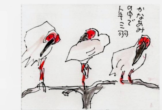 国内最後の絵手紙ツアー