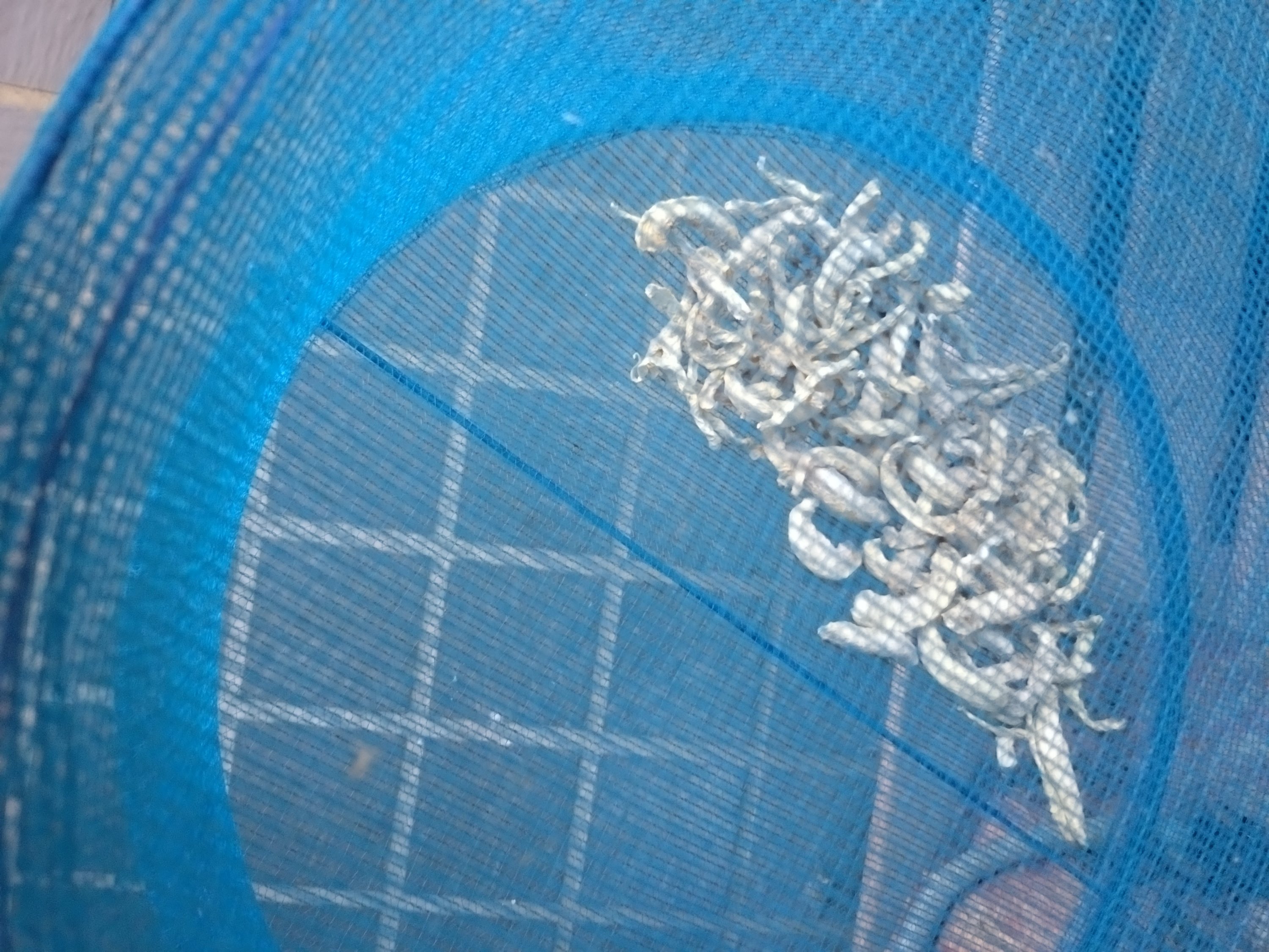 極太切り干し大根